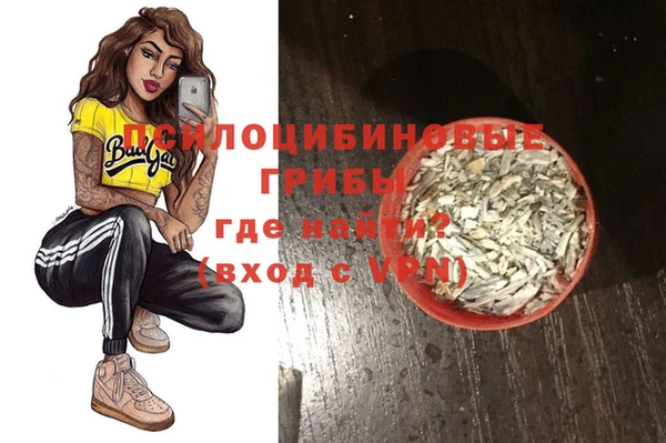 дмт Алзамай