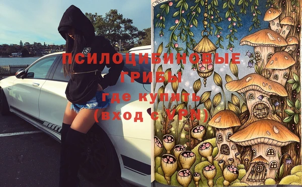 твердый Алексин