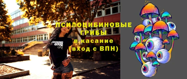 дмт Алзамай