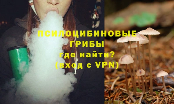 тгк Алексеевка