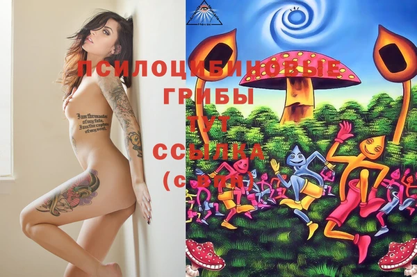 дмт Алзамай