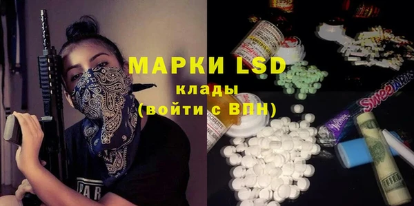 дмт Алзамай