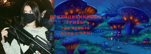 дмт Алзамай