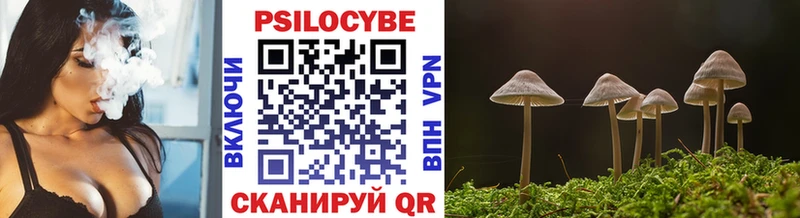 МЕГА ONION Омутнинск Галлюциногенные грибы Psilocybine cubensis как найти наркотики